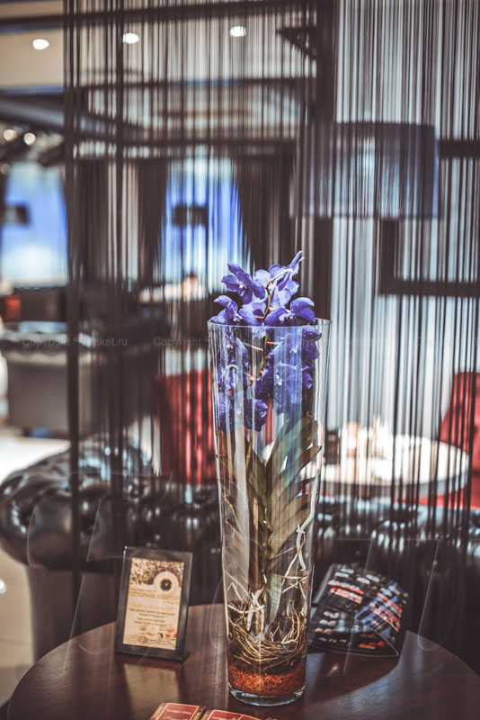 Малый зал — фото 19