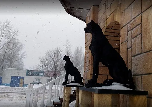 Основной зал — Багира