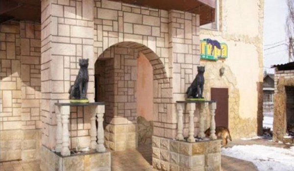 Логотип Багира