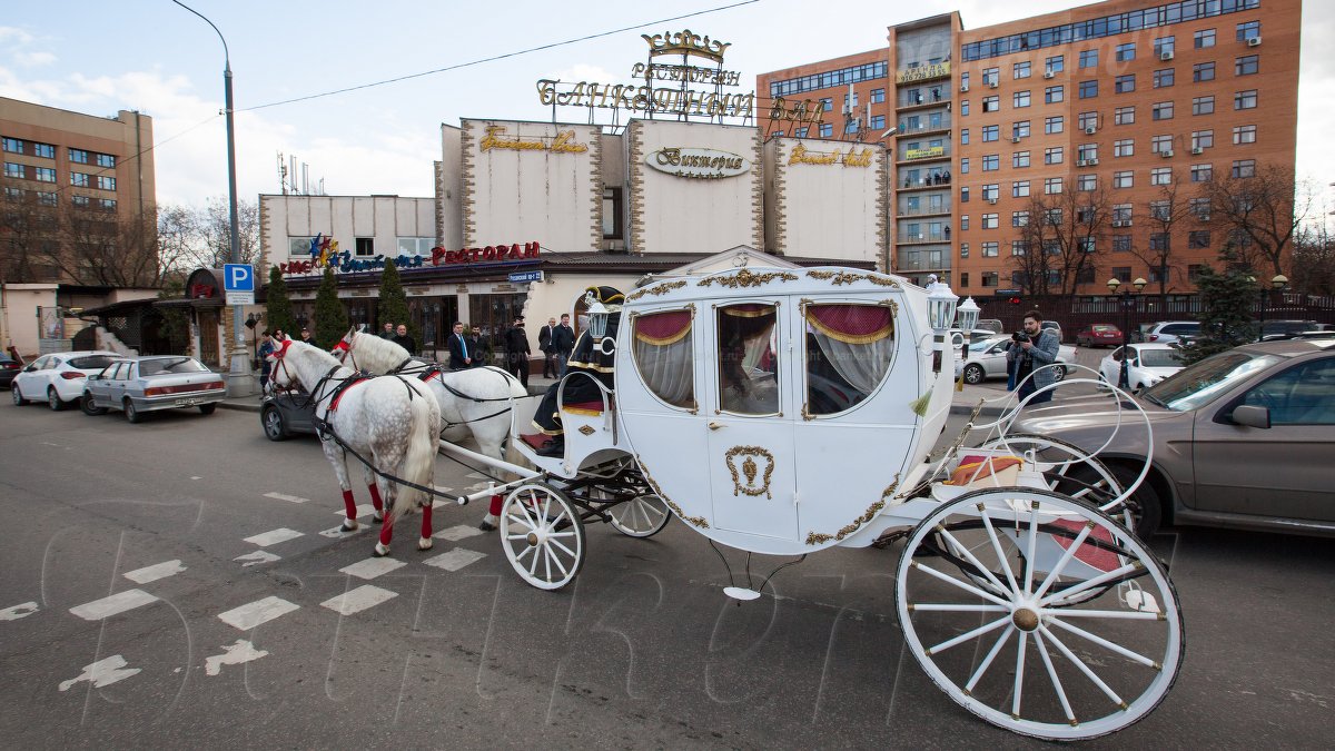 Банкетный зал Виктория — фото 131
