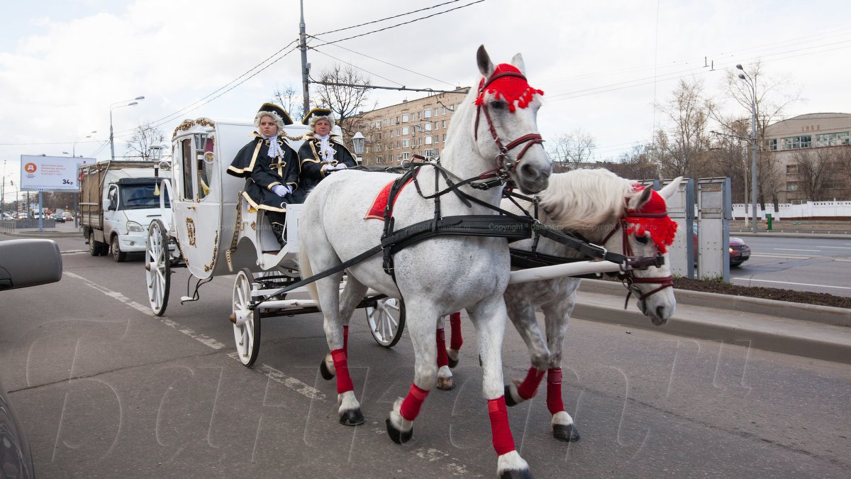 Банкетный зал Виктория — фото 130