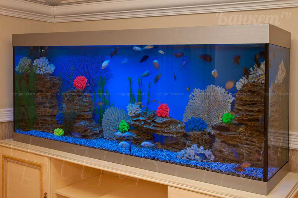 Vip зал 1 Vip зал 1 — фото 27