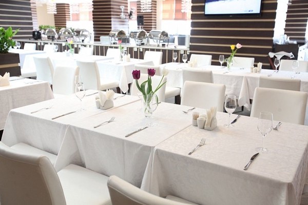 Логотип Bridge