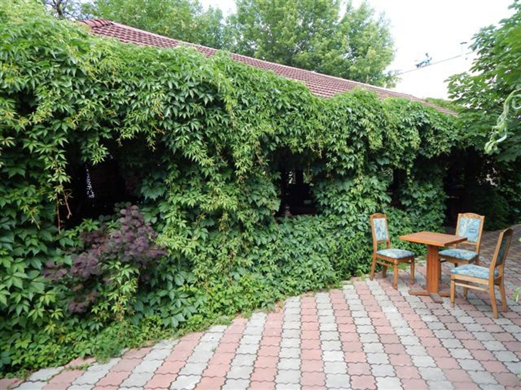 Основной зал — фото 11