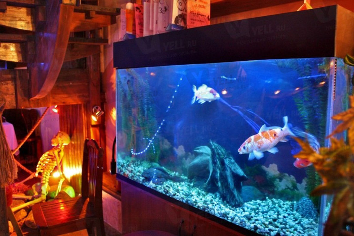 Клубный зал — фото 4