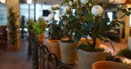 Основной зал — фото 4