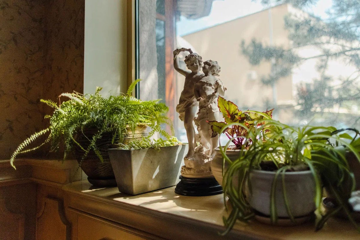 Банкет зал Столовая — фото 5