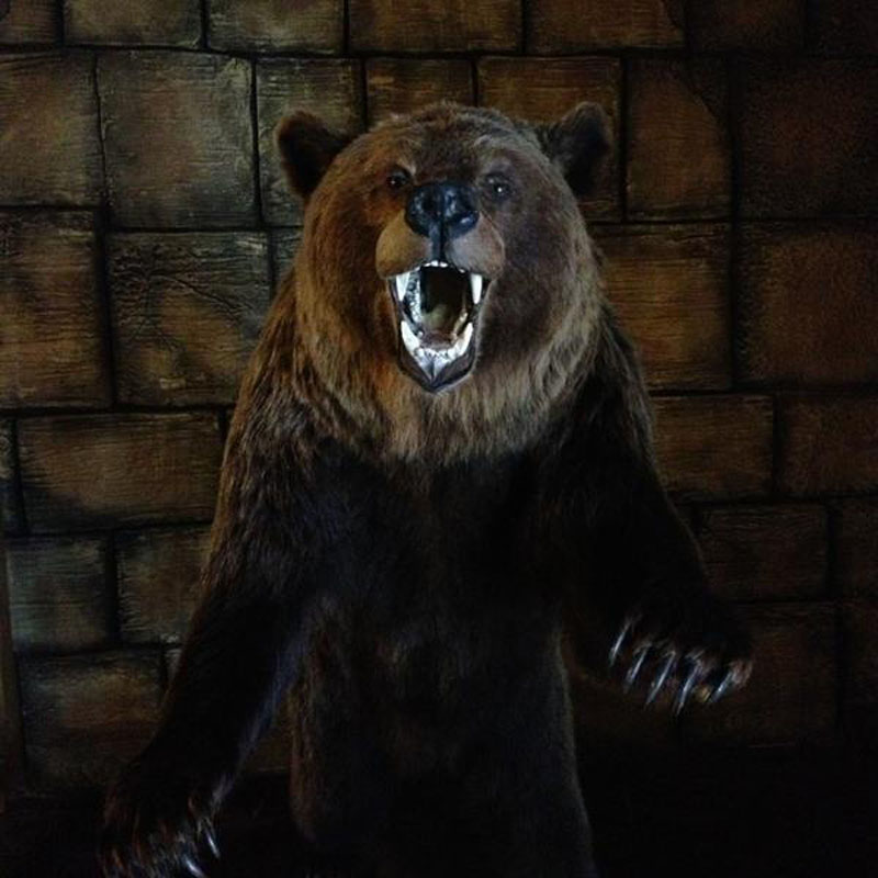 Основной зал — фото 8