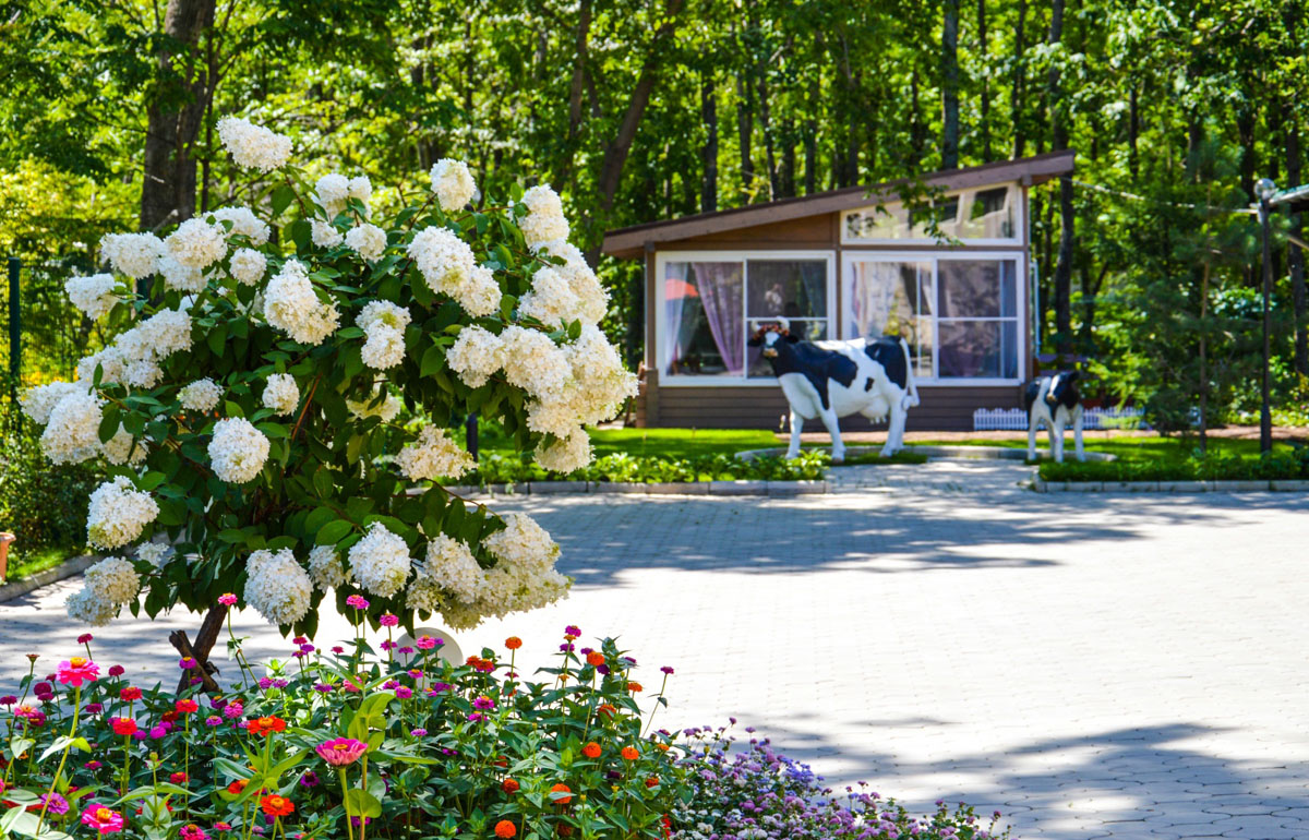 Открытая беседка — фото 7