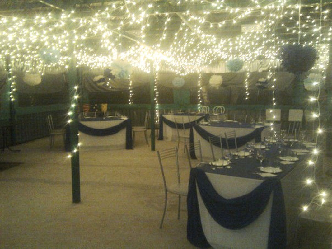 Кафе Лесное — Зал на 40 человек, фото банкетного зала