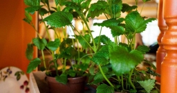 Основной зал