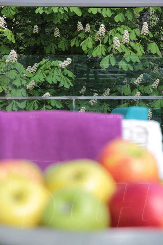 Ju-ju — фото 9