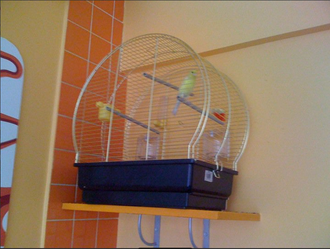 Основной зал — фото 9