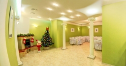 Каминный зал — подробнее о зале