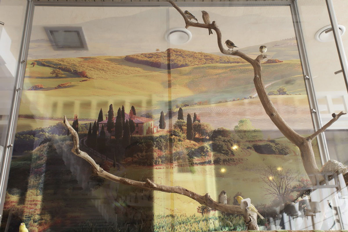 Основной зал — фото 8