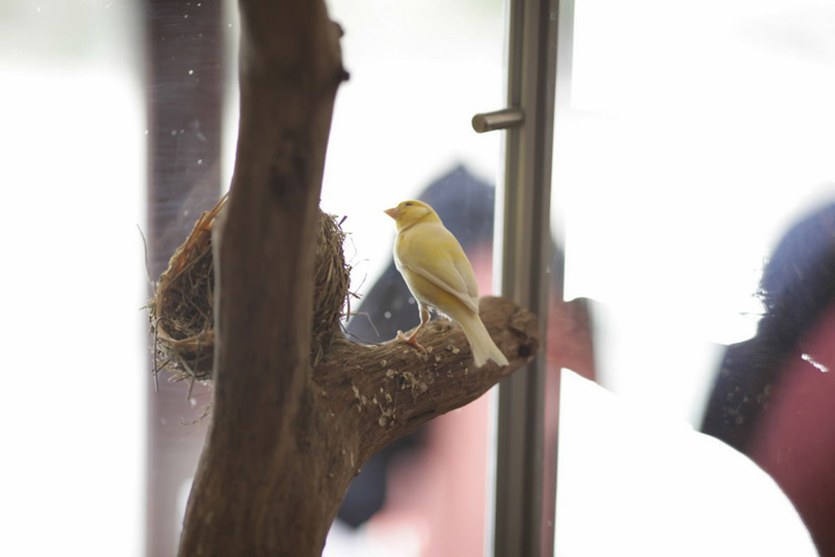 Основной зал — фото 9
