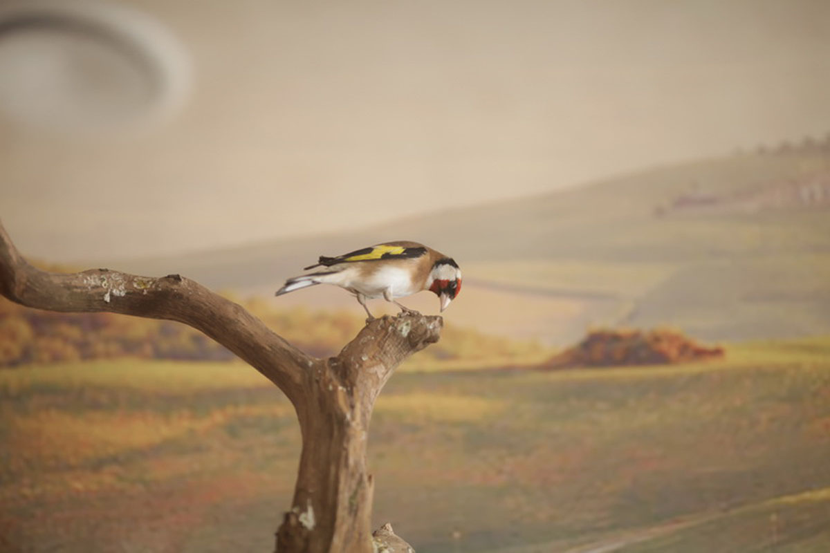 Основной зал — фото 10