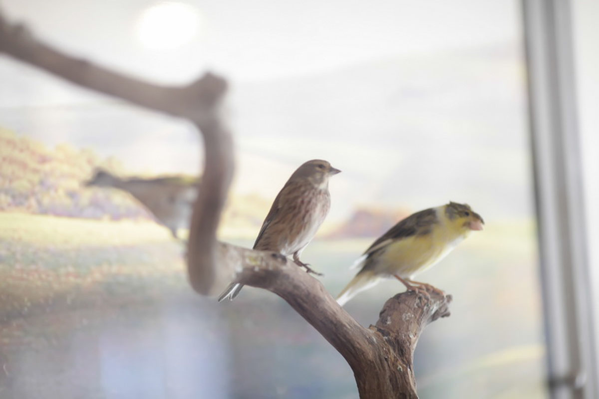 Основной зал — фото 11