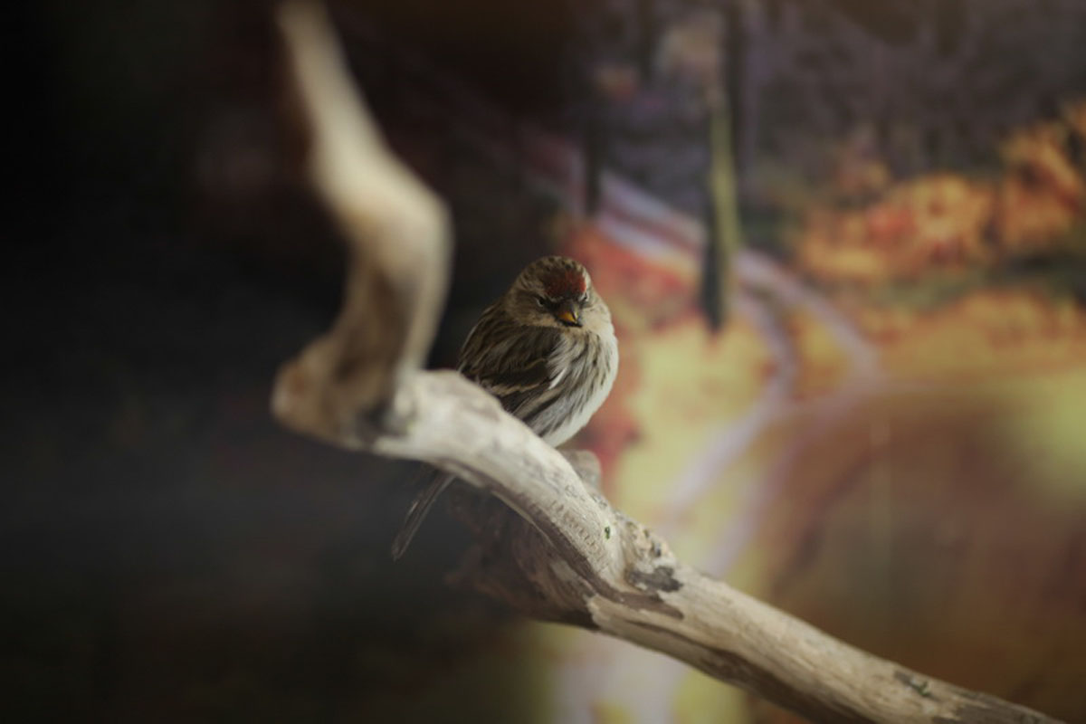 Основной зал — фото 12