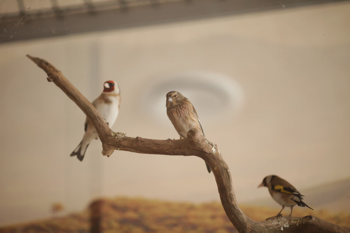 Основной зал — фото 13