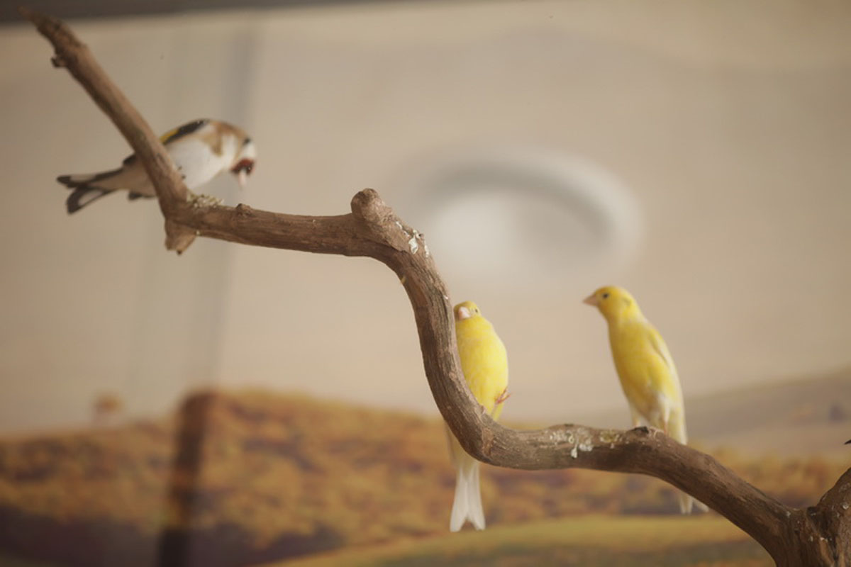 Основной зал — фото 14