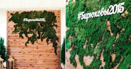 Зал на 50 человек — подробнее о зале