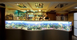 Основной зал — фото 4