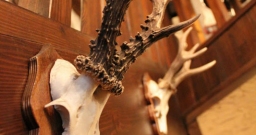 Основной зал — фото 4