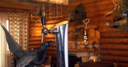 Зал «Зимний» — интерьер зала