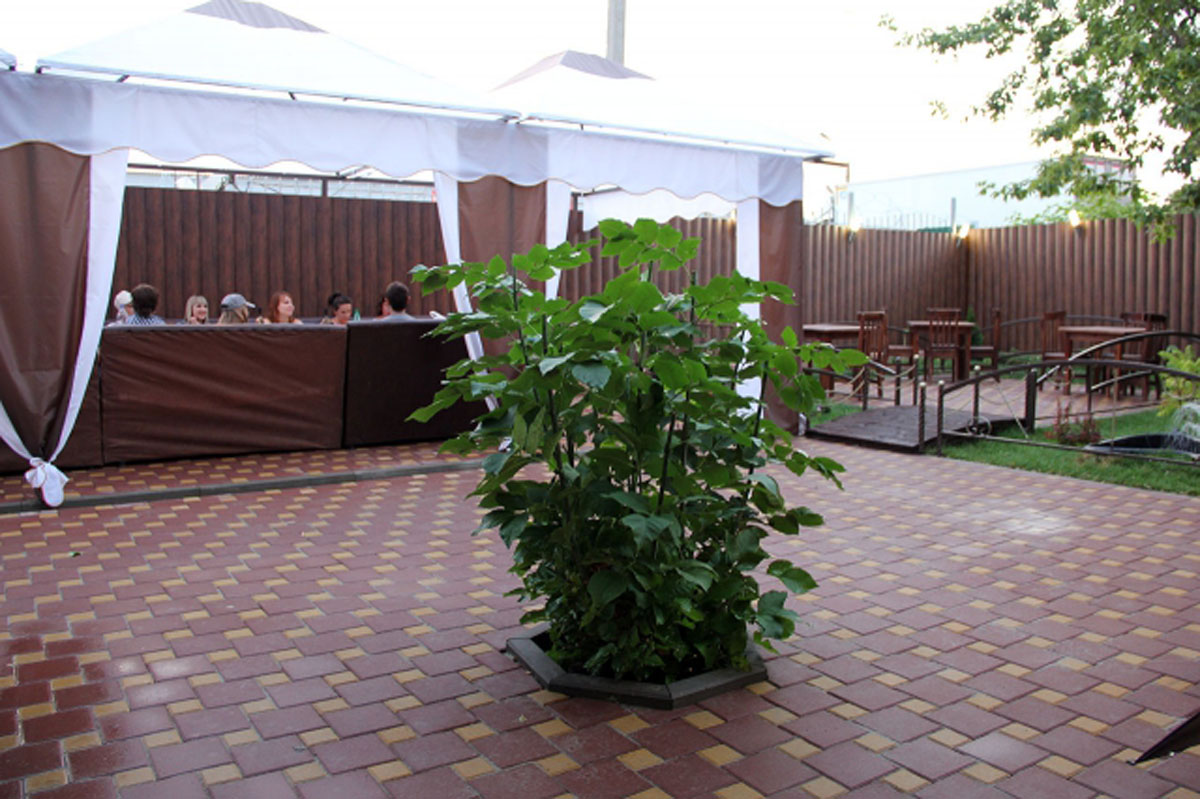 Терраса — фото 2