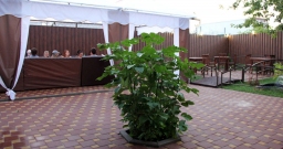 Терраса — фото 2