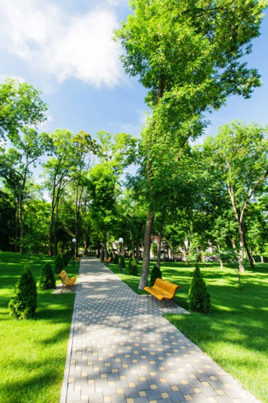 Зал на 300 человек — Надежда