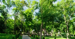 Зал на 300 человек — интерьер зала