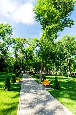 Зал на 300 человек — Надежда