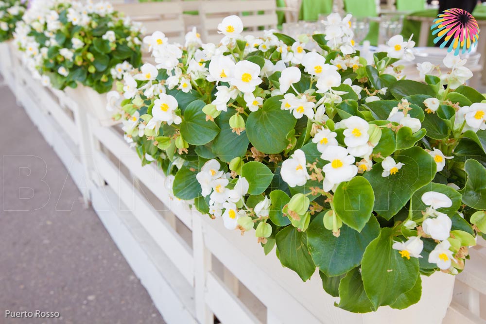 Банкетный зал — Ресторан Пуэрто Россо