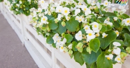 Банкетный зал — интерьер зала