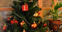 Основной зал — фото 5