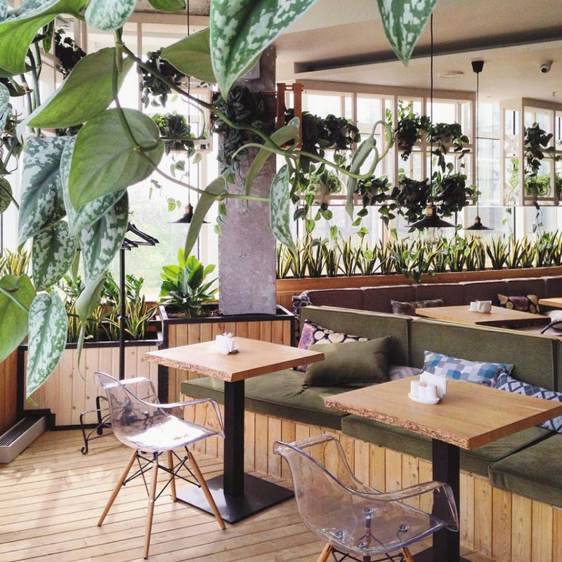 Основной зал — Green Cafe