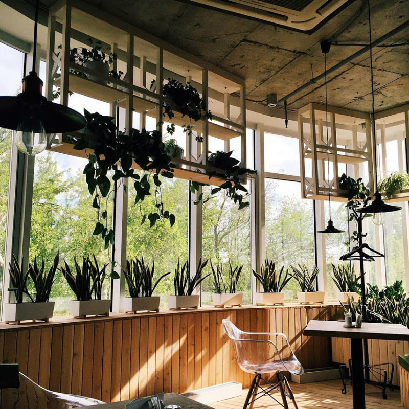 Основной зал — Green Cafe