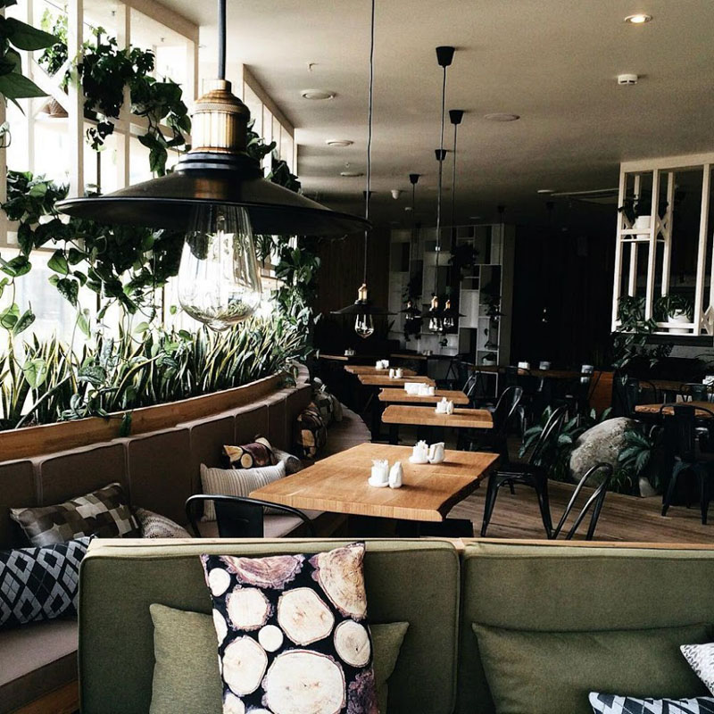 Основной зал — Green Cafe