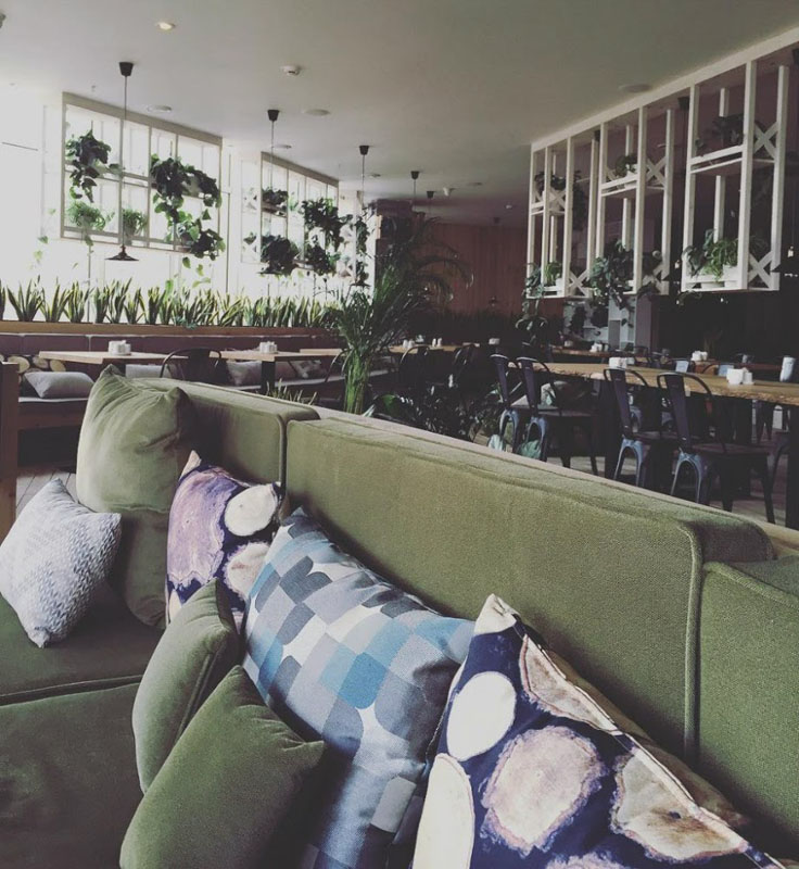 Основной зал — Green Cafe