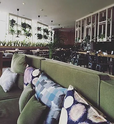 Green Cafe, Основной зал — фото