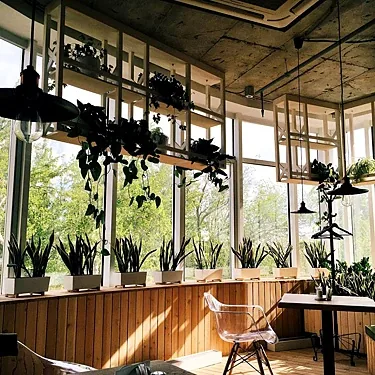 Основной зал — Green Cafe