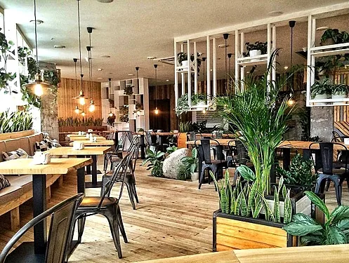 Основной зал — Green Cafe