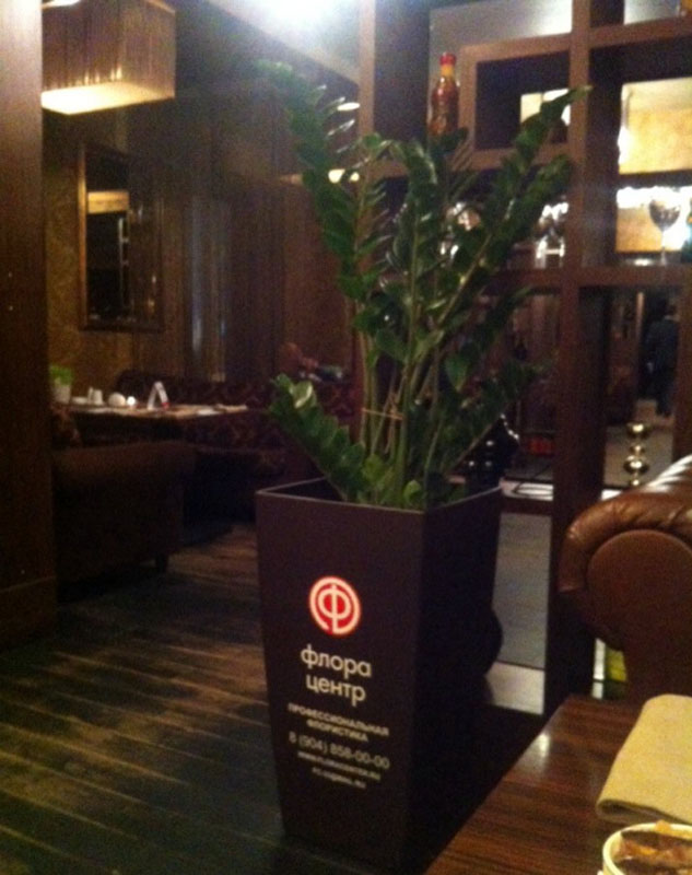 Основной зал — ИНСАЙД