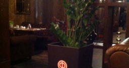 Основной зал — фото 6