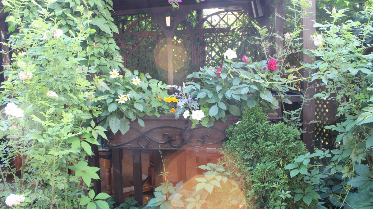 Летний двор — Шеш-Беш