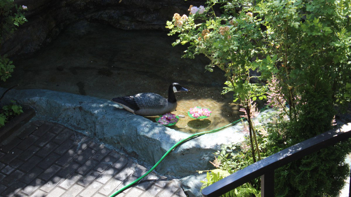 Летний двор — фото 6