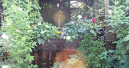 Летний двор — подробнее о зале