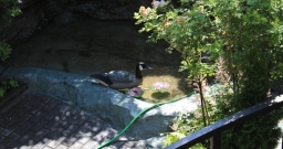 Летний двор — фото 6